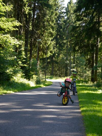 Wandern mit Kindern (Foto GV Rechenberg-Bienenmühle)