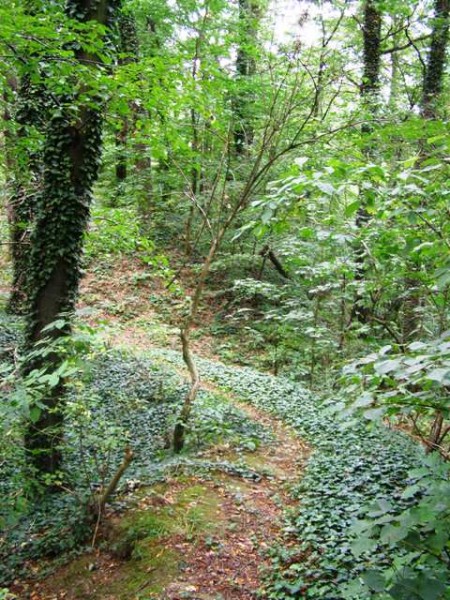 Schanzenwanderweg ©Peter Beer