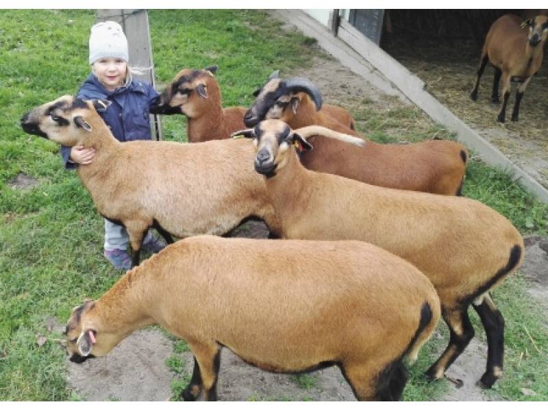 Titelbild Erlebnisangebot