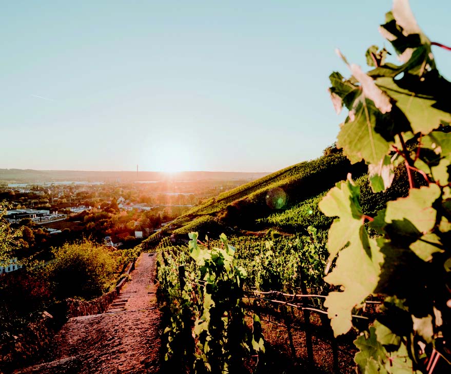 Titelbild Erlebnisangebot